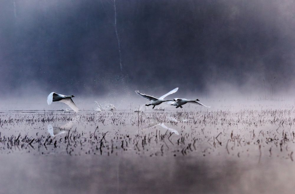 Photograph by Patrycja