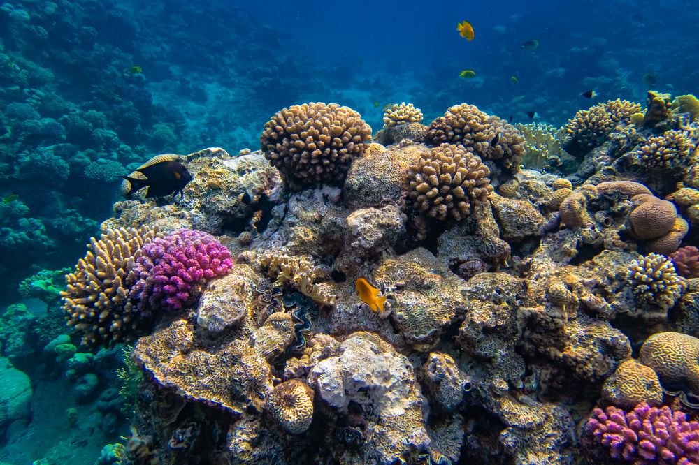 Photograph by Межин Сергей