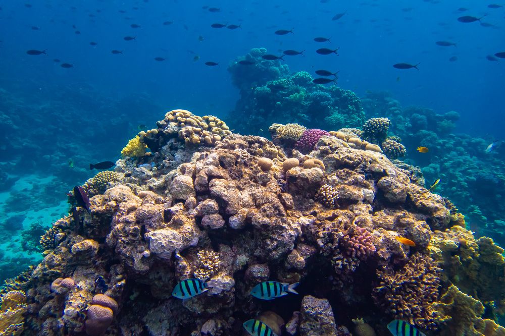 Photograph by Межин Сергей