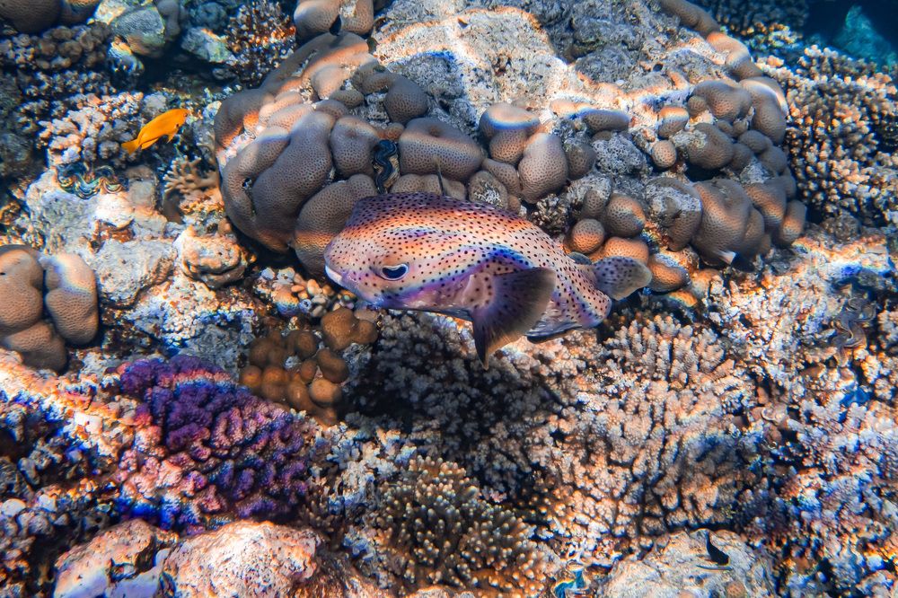 Photograph by Межин Сергей