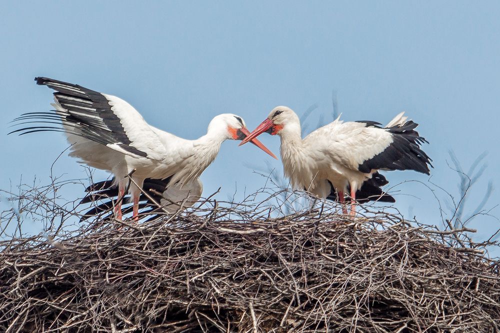 Photograph by Татьяна Семенова