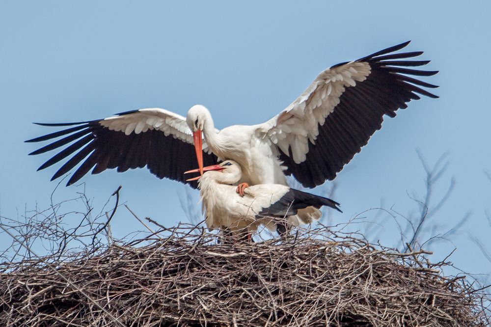 Photograph by Татьяна Семенова