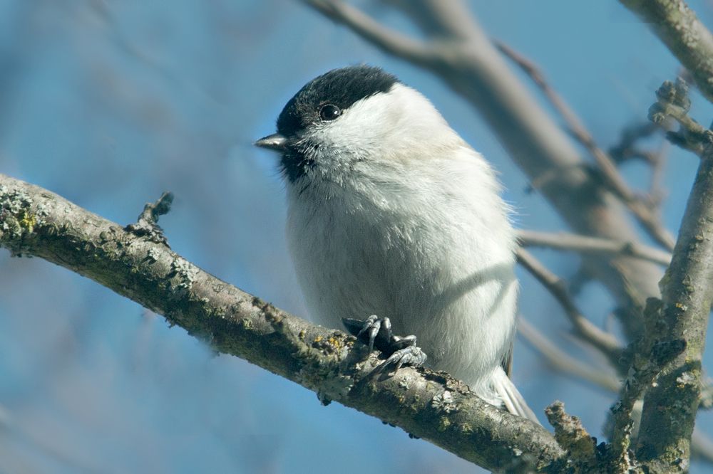 Photograph by Татьяна Семенова