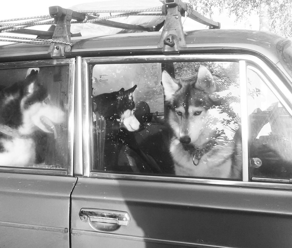 Photograph by Елена Наленч