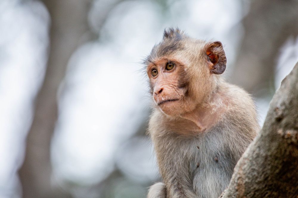 Photograph by NguyenKhoi Do