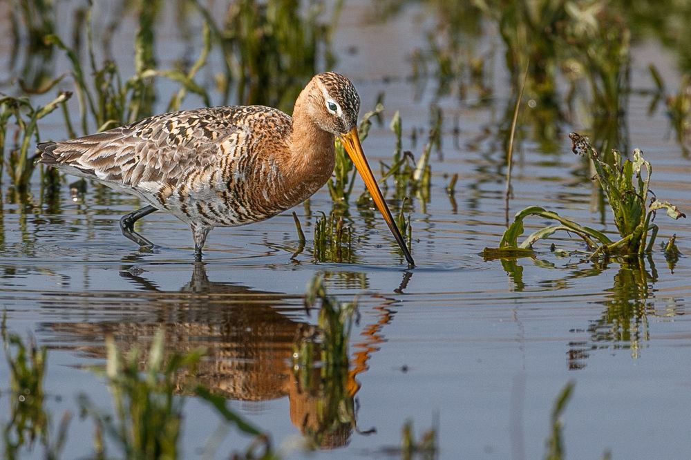 Photograph by Георгий Кулаковский