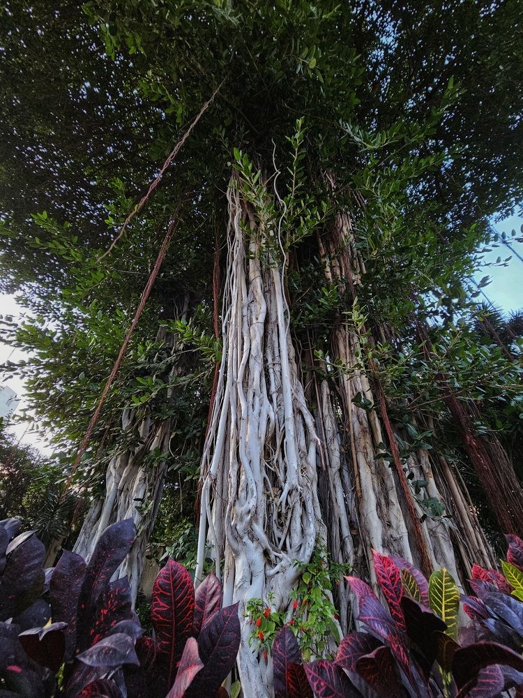 Photograph by Hanan Elmahmoudy