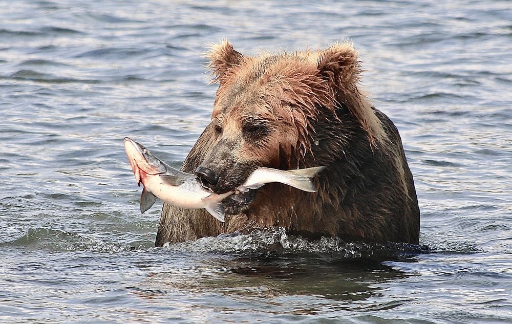 Photograph by Леонид Голубков