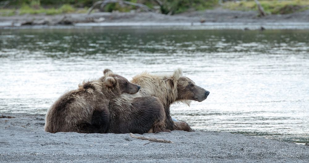 Фотография автора Юлия Белянцева