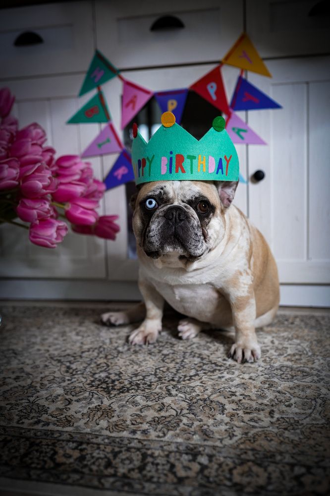 Photograph by Екатерина Андрусенко