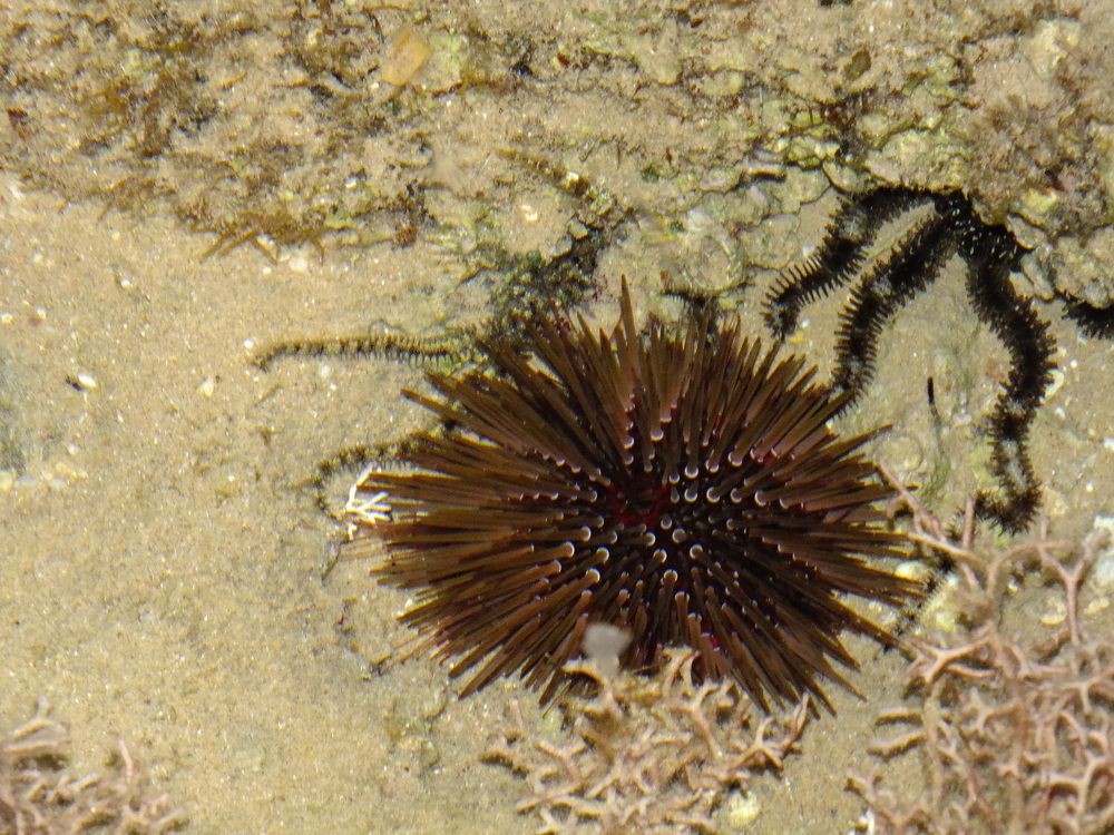 Photograph by Наталья Агаева