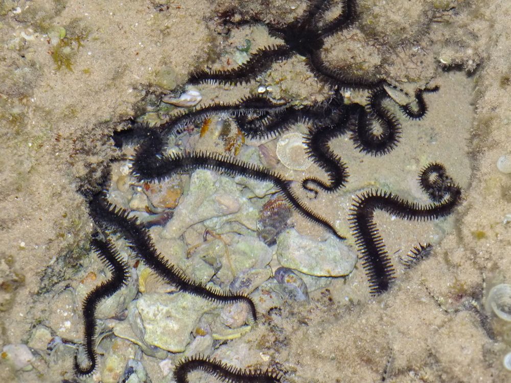 Photograph by Наталья Агаева