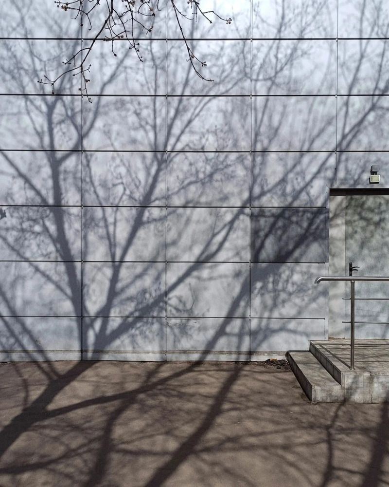 Photograph by Инна Ива
