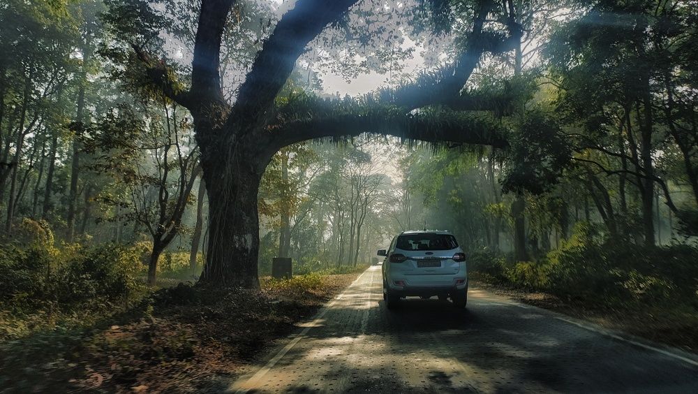 Photograph by Susobhan Biswas