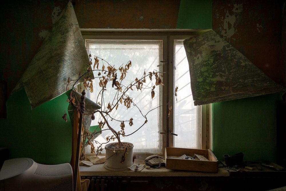 Никого нет у окна