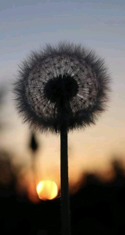 Photograph by Liis Murro