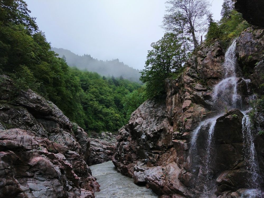 Photo #10512655