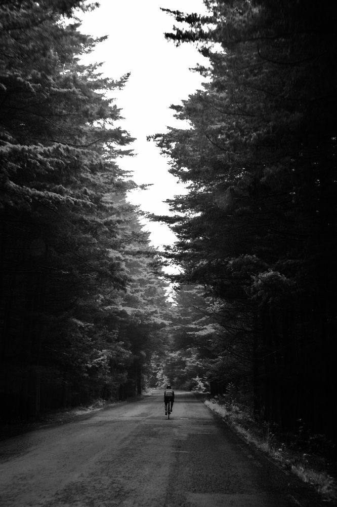 Photograph by Francisco Galindo-Ochoa