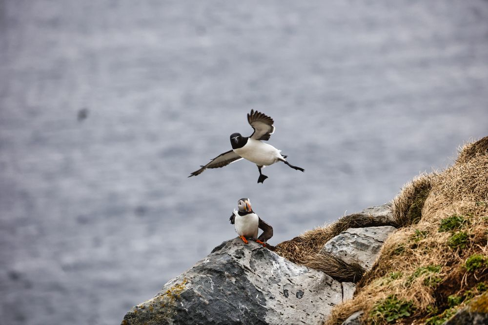 Photograph by Rocco Galati