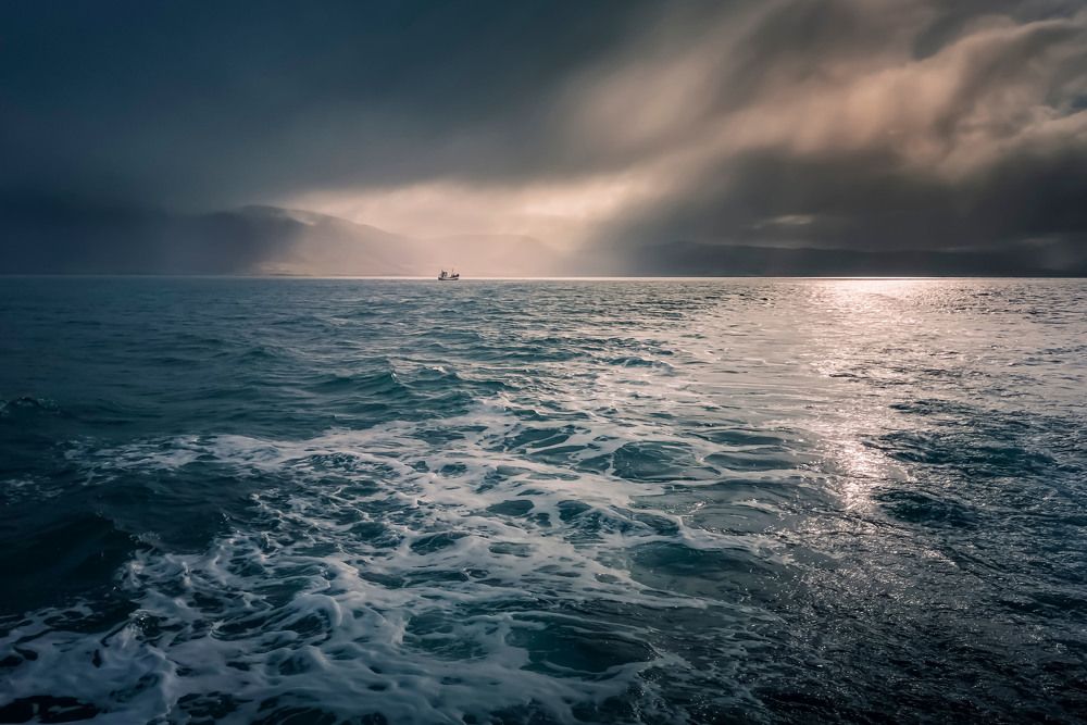 Photograph by Venelin Lyubomirov Dimitrov