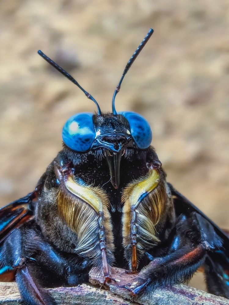 Photograph by Sahan nandika