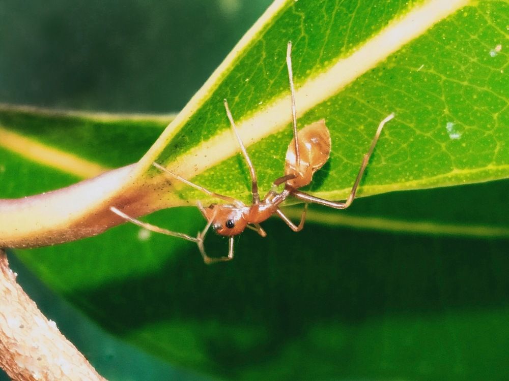 Photograph by Sahan nandika