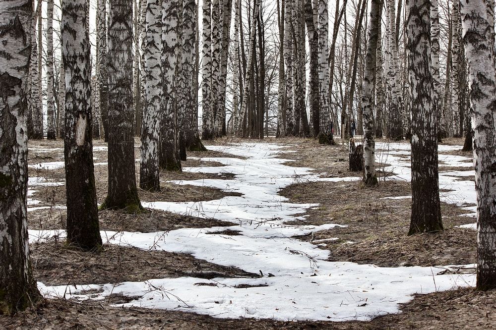 Photograph by Лариса Белашова