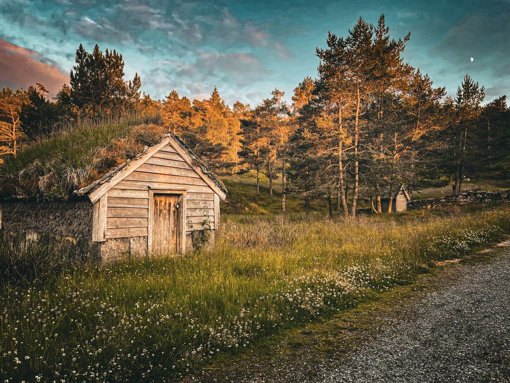 Фотография автора Jana Treija