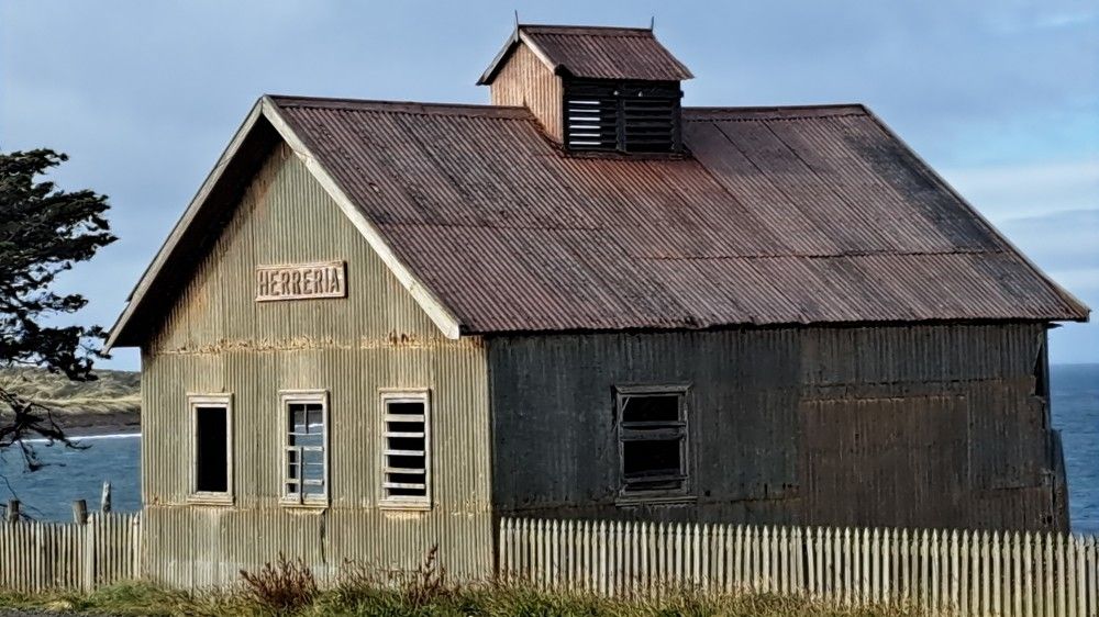Фотография автора gustavo pecelis