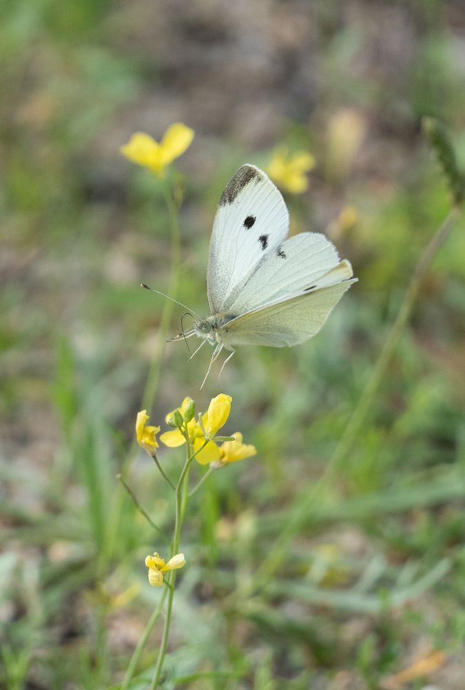 Photograph by David Dores