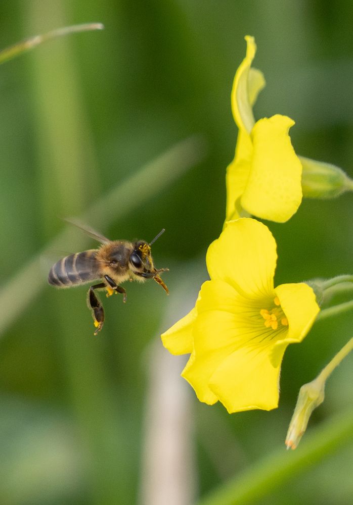 Photograph by David Dores