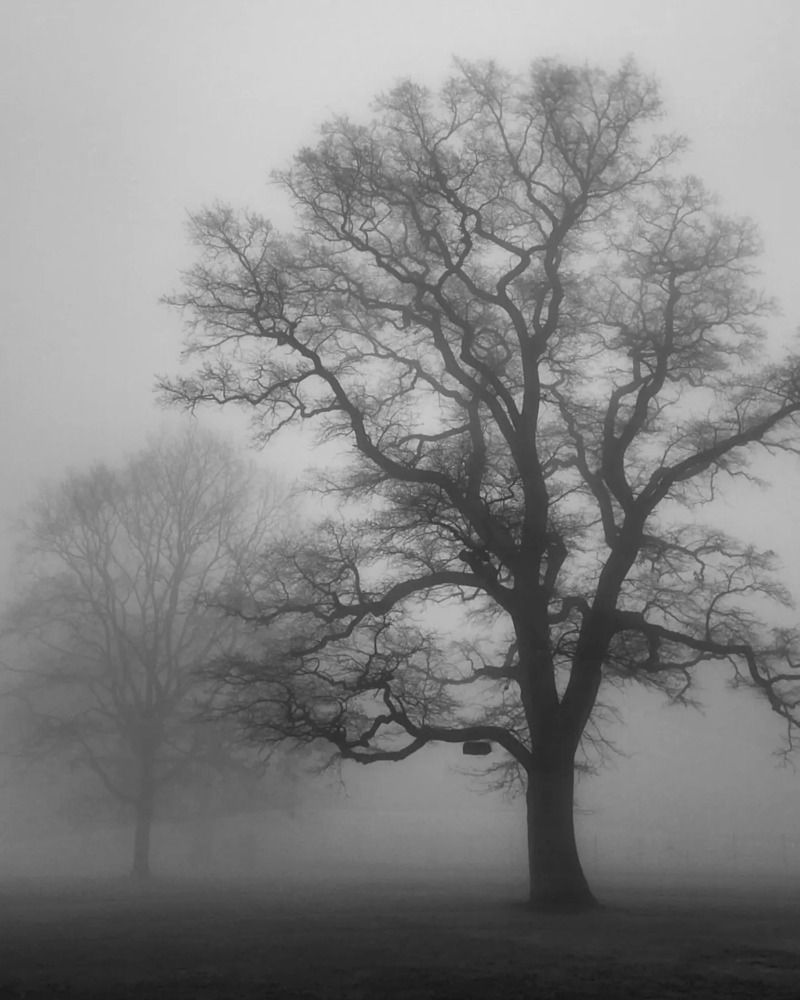 Hirsch Park  Hamburg,Blankenese