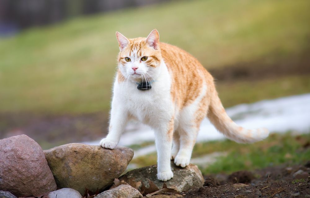 Фотография автора Кристина Данилюк