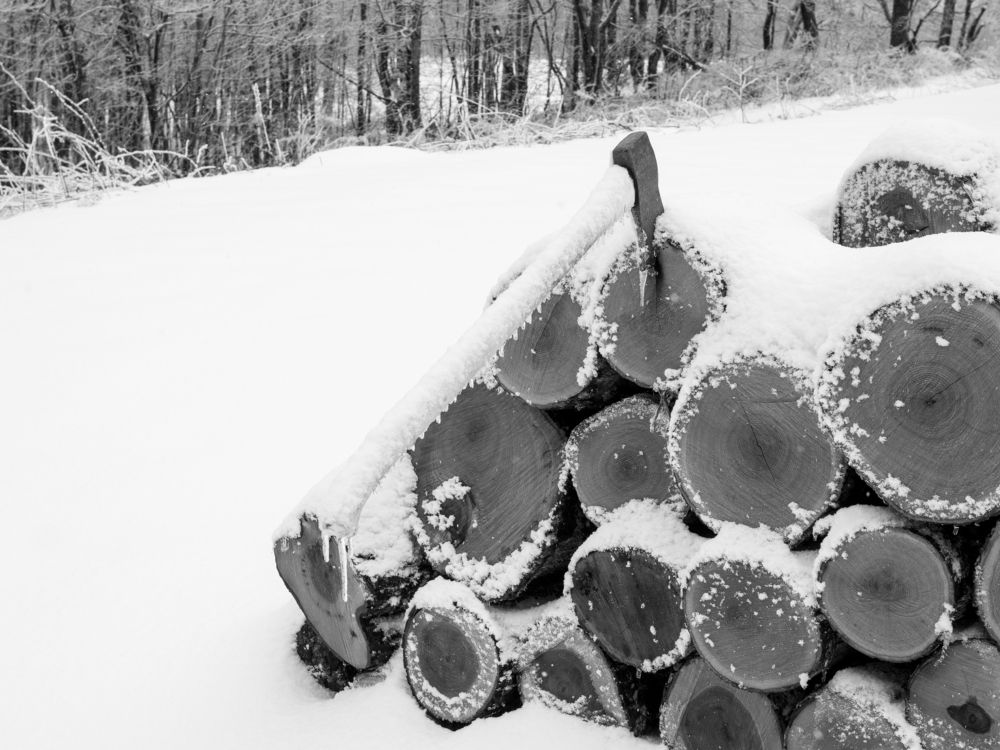Photo #10512992