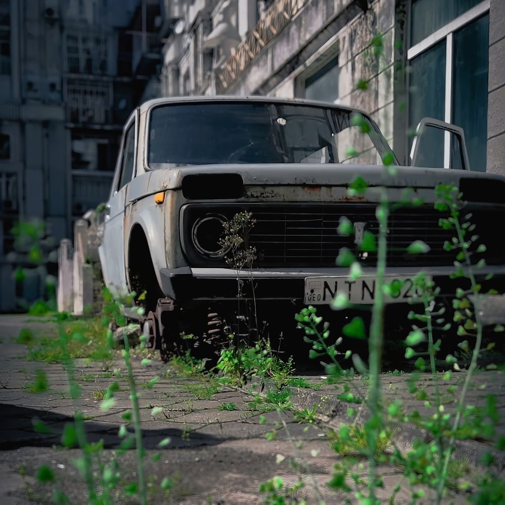 Photograph by Siarhei Saladukhin