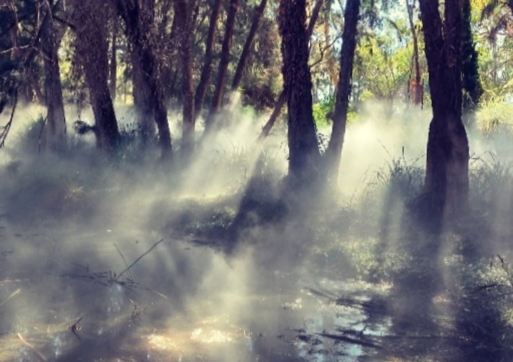 Photograph by Kirsteen Isles