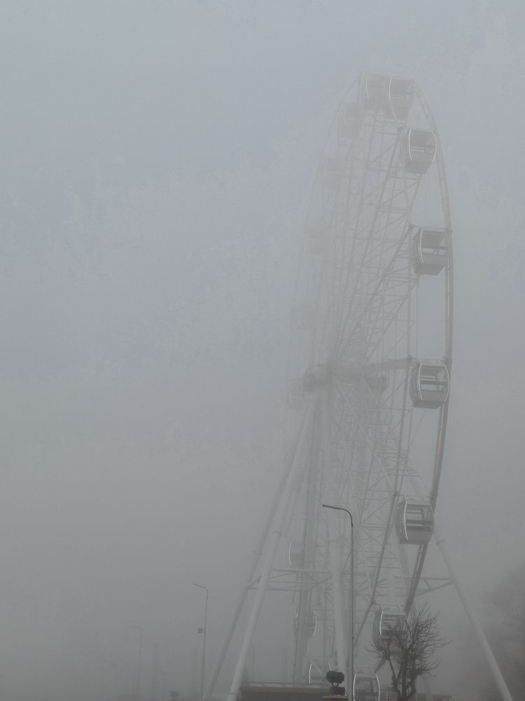 Photo #10513114