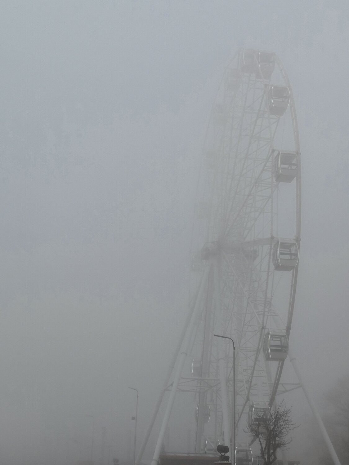 Photo #10513114