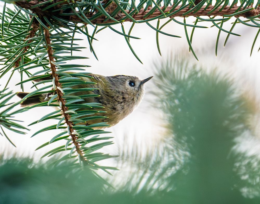 Photograph by Курлянцев Алексей