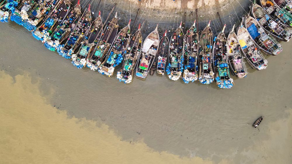 Photograph by Md Rokibul Hasan