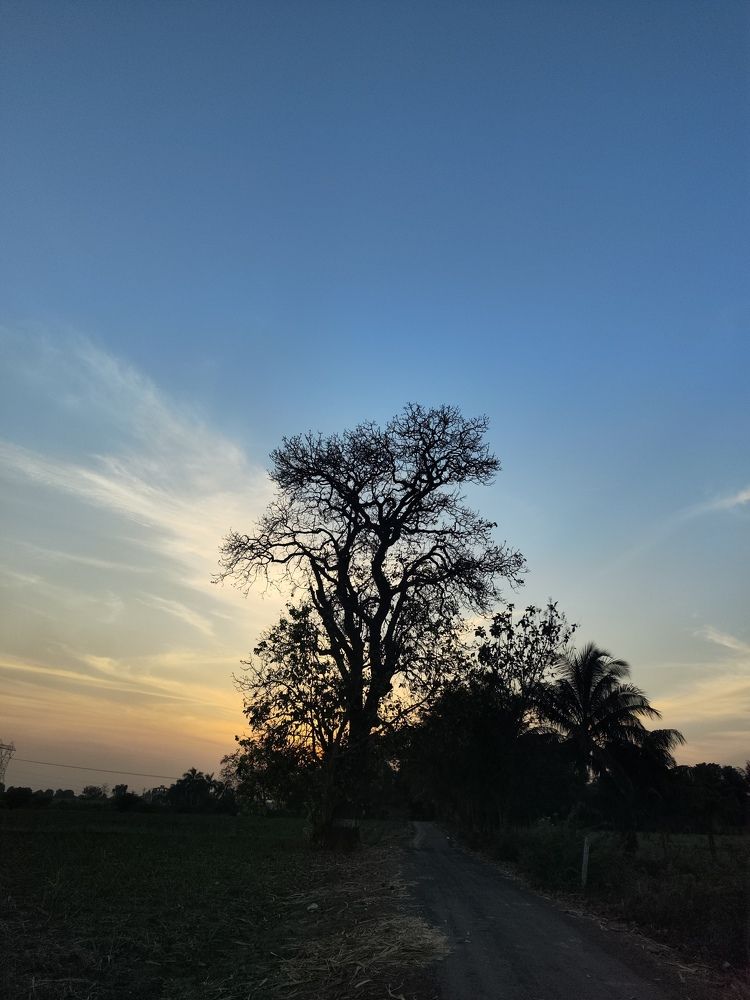 Photograph by Parth Pathak
