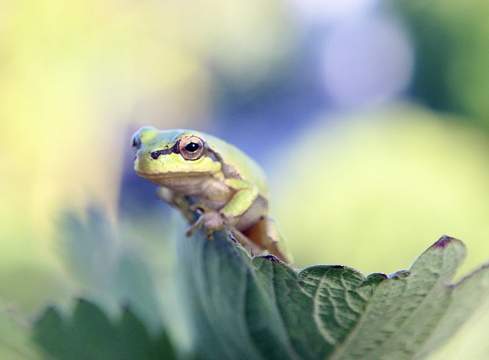 Photograph by Александр