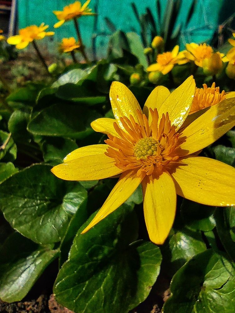 Photograph by Анна Напримерова