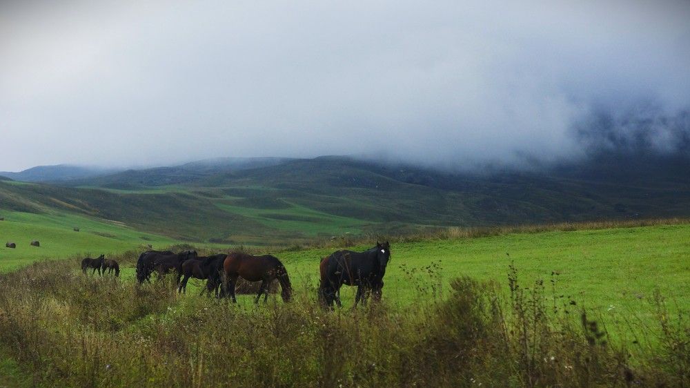 Photograph by Юлия Воскобойникова