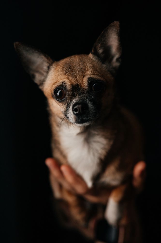 Photograph by Ольга Марилова