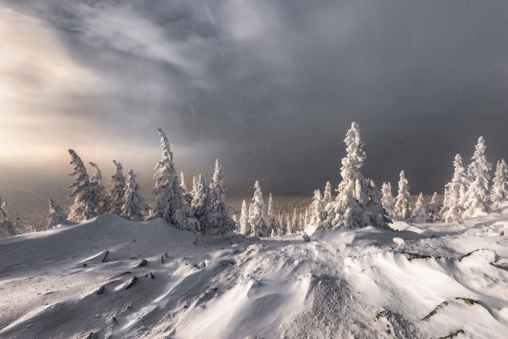 Photograph by Соколова Елена