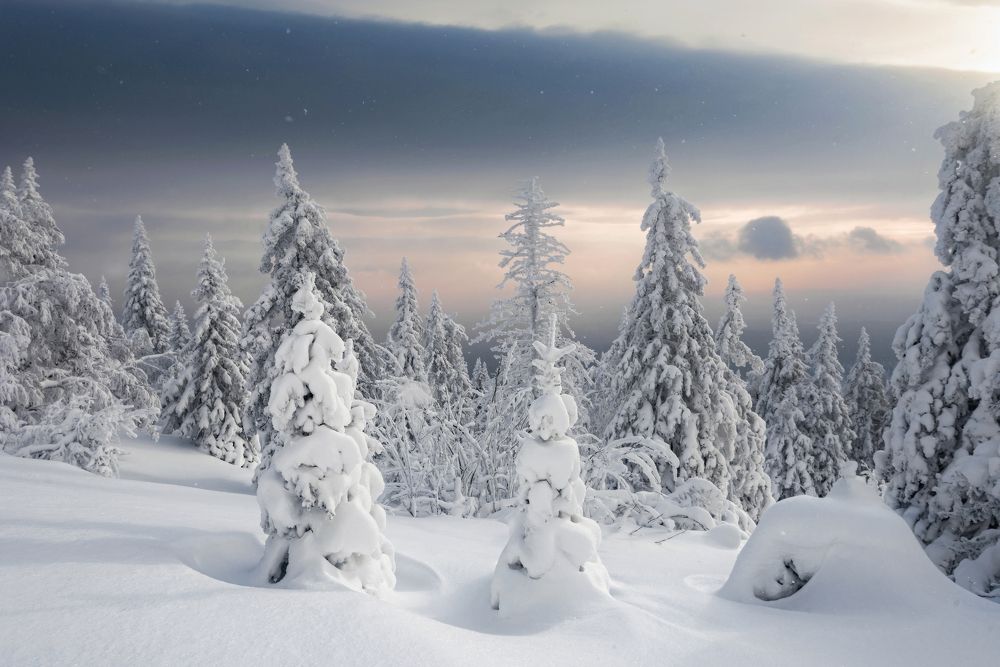 Photograph by Соколова Елена