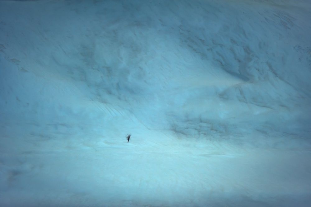 Фотография автора Amin Pasi Shirazi