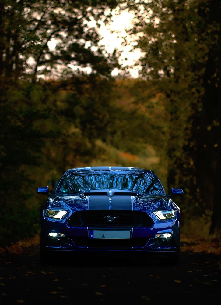 Photograph by Wener 2303