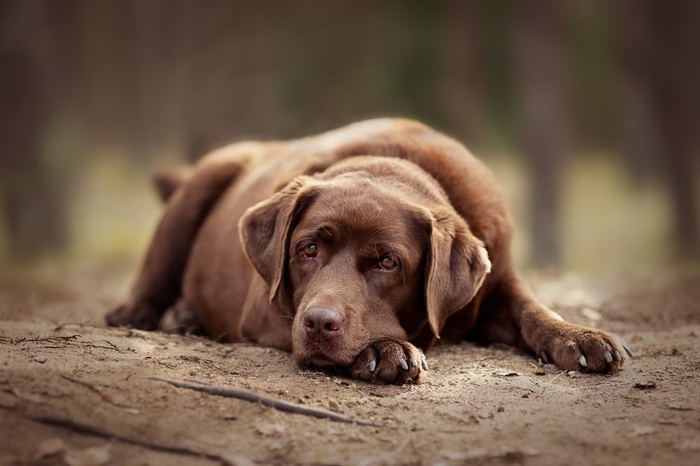 Photograph by Ольга Щерба